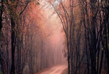 28圈:足球市场:米兰、那不勒斯有意热刺前锋库卢塞夫斯基.