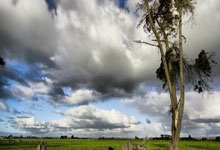 28圈:哈尔滨亚冬会筹办工作进入冲刺阶段2025-01-17.