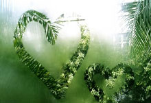 [图]米内罗帽子戏法 上海申花战胜神户胜利船.